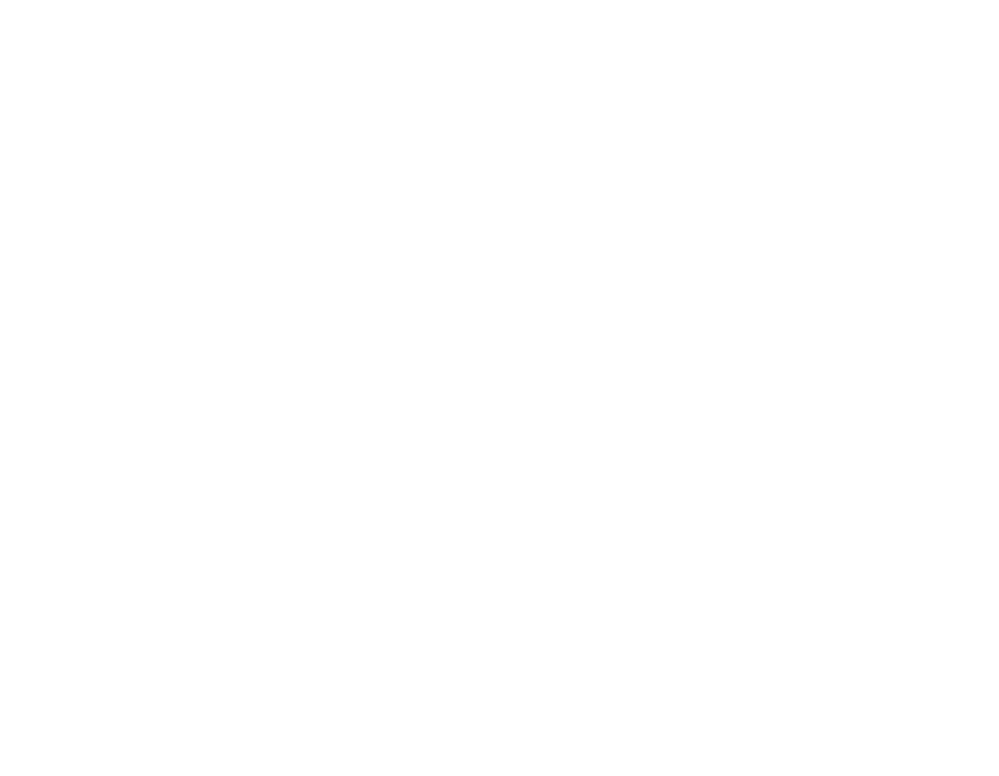 PST Group Logo